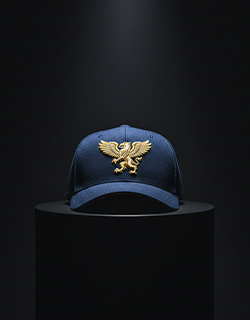 Designers and creators